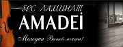 Amadei