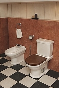 Унитаз-компакт Villeroy&Boch Hommage 666210R2 без бачка и сиденья-4