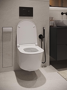 Гигиенический душ со смесителем Agger Gorgeous A0270044 Черный-11