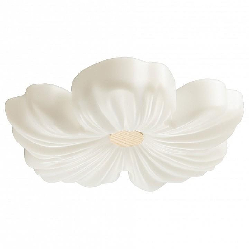 Накладной светильник De City Мадлен 424019501 