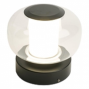 Накладной светильник Feron Париж 51990 цвет плафона/подвески Прозрачный, цвет арматуры Черный-3