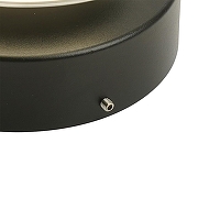 Накладной светильник Feron Париж 51990 цвет плафона/подвески Прозрачный, цвет арматуры Черный-7