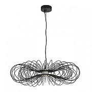 Подвесной светильник Lumion CAMOMILE 8301/10L цвет плафона/подвески Черный, цвет арматуры Черный-2