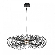 Подвесной светильник Lumion CAMOMILE 8301/10L цвет плафона/подвески Черный, цвет арматуры Черный-3