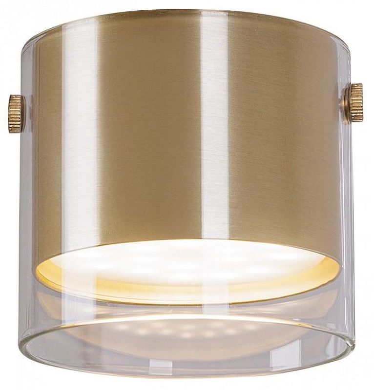 Накладной светильник Artelamp Lazio A5366PL-1SG 