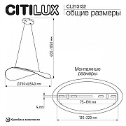 Подвесной светильник Citilux SKATT CL213132 цвет плафона/подвески Прозрачный, цвет арматуры Бронза-13