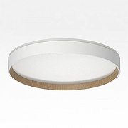 Накладной светильник Citilux ETALON CL750320R цвет плафона/подвески Белый, Коричневый, цвет арматуры Белый