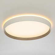 Накладной светильник Citilux ETALON CL750320R цвет плафона/подвески Белый, Коричневый, цвет арматуры Белый-3