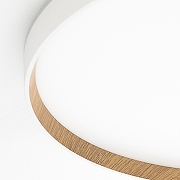 Накладной светильник Citilux ETALON CL750500R цвет плафона/подвески Белый, Коричневый, цвет арматуры Белый-10