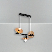 Подвесной светильник Freya Ferro FR4009PL-03GB цвет Золото, Черный-5