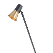 Торшер Moderli Melro V11328-1F цвет плафона/подвески Латунь, Черный, цвет арматуры Черный-1