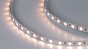 Светодиодная лента DesignLed DSG560 00-00000521 длина 5000 мм-1