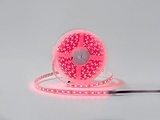 Светодиодная лента DesignLed DSG560 00-00001489 длина 5000 мм