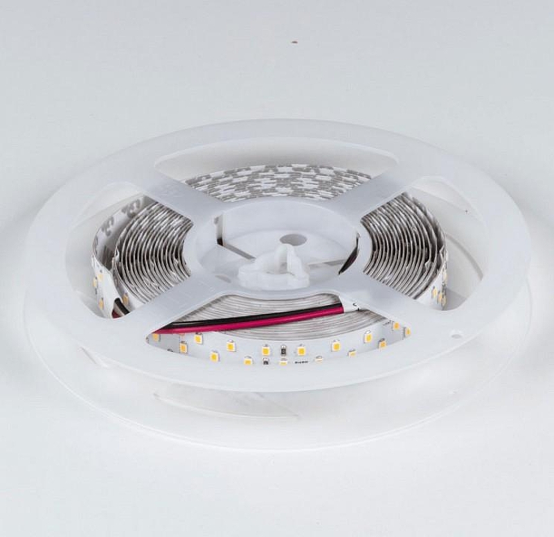 Светодиодная лента DesignLed DSG2252 00-00001493 