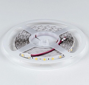 Светодиодная лента DesignLed DSG560 00-00002118 длина 5000 мм