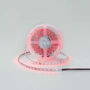 Светодиодная лента DesignLed DSG3A60 00-00002843 длина 5000 мм-1