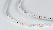 Светодиодная лента DesignLed DSG260 00-00004496 IP33-2