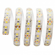 Светодиодная лента Apeyron Electrics 00-98 цвет белый-1