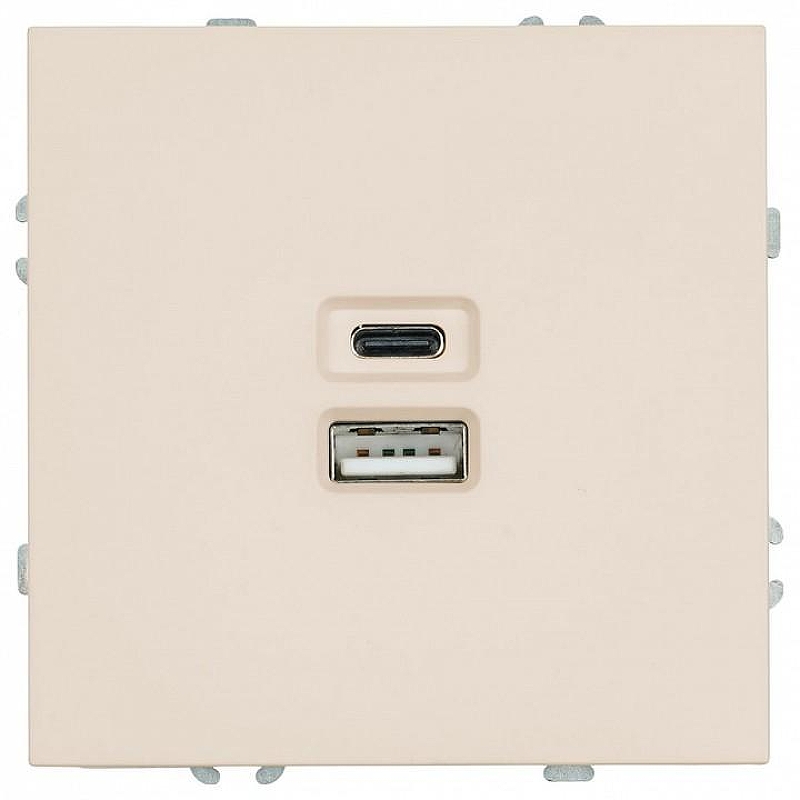 Розетка USB и type C без рамки Stekker Эмили 49905 