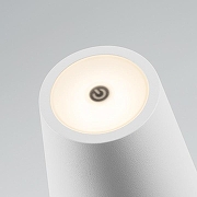 Настольная лампа Arlight DAISY 44378 цвет плафона/подвески , цвет арматуры-3