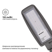 Консольный светильник Apeyron Electrics 29-10 цвет плафона/подвески Серый, цвет арматуры Серый-4