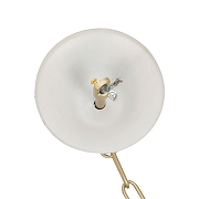 Люстра Lumion SUANA 8318/8 цвет арматуры Бежевый-5