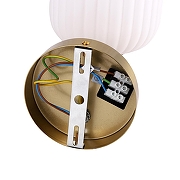 Бра Lumion ALEGRA 8334/1W цвет плафона/подвески Белый, цвет арматуры Бронза, Серый-4