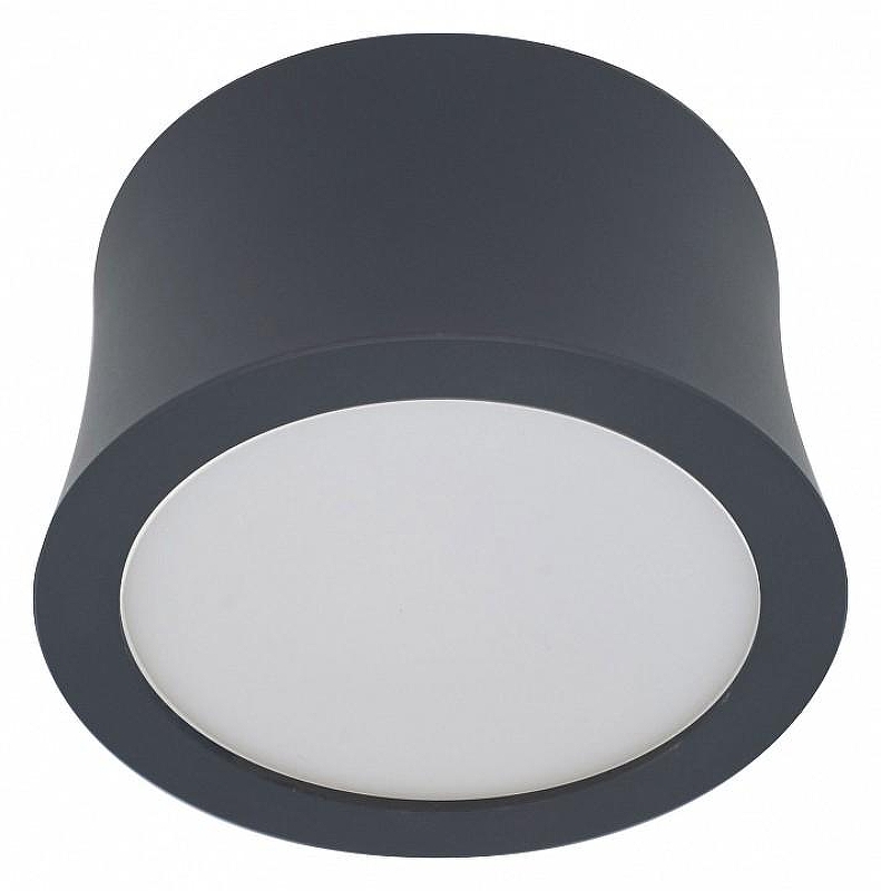 Светодиодная лампа LEDS POWER 6833 