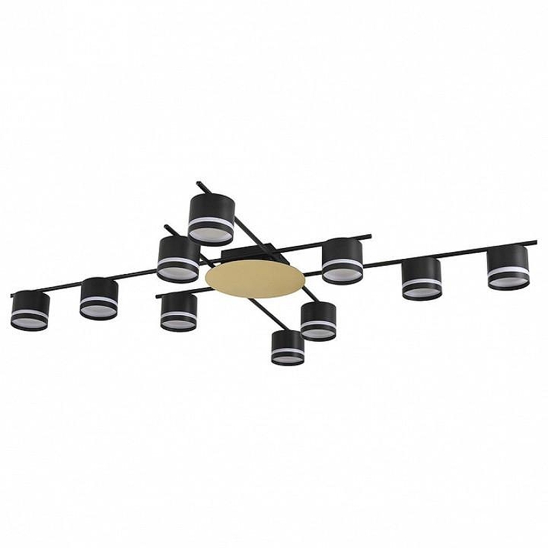 Люстра Lumion BENUA 8304/10C 