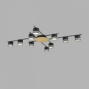 Люстра Lumion BENUA 8304/10C цвет плафона/подвески Черный, цвет арматуры Золото, Черный-2