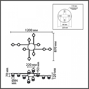 Люстра Lumion BENUA 8304/10C цвет плафона/подвески Черный, цвет арматуры Золото, Черный-5