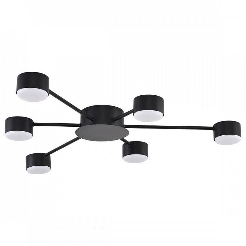 Люстра Lumion TORINA 8344/6C 