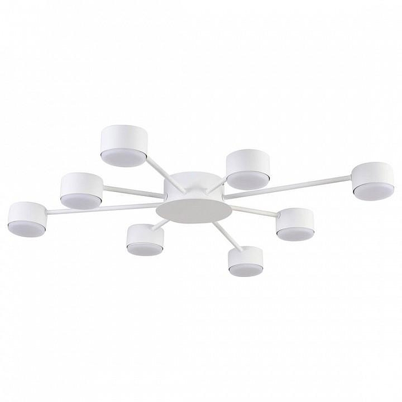 Люстра Lumion TORINA 8343/8C 