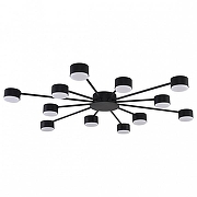 Люстра Lumion TORINA 8344/12C цвет плафона/подвески Черный, цвет арматуры Черный