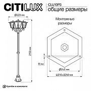 Фонарный столб Citilux FORTS CLU10P3 цвет плафона/подвески Прозрачный, Хром, цвет арматуры Черный-9