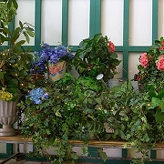 Гирлянда на солнечных батареях Uniel UL-00012694 длина 30000 мм-10