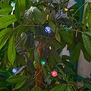 Гирлянда на солнечных батареях Uniel UL-00012696 длина 4500 мм-8