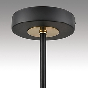 Люстра на штанге Lumion Comfi 8153/6C цвет плафона/подвески Черный, цвет арматуры Медь, Черный-6