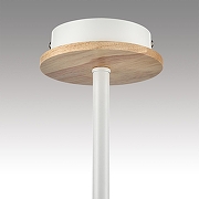 Люстра на штанге Lumion IRMA 8246/3C цвет плафона/подвески Белый, цвет арматуры Белый, Коричневый-7