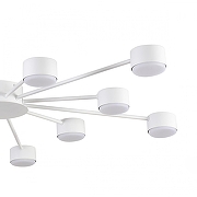 Люстра Lumion TORINA 8343/12C цвет плафона/подвески Белый, цвет арматуры Белый-4