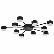 Люстра Lumion TORINA 8344/10C цвет плафона/подвески Черный, цвет арматуры Черный