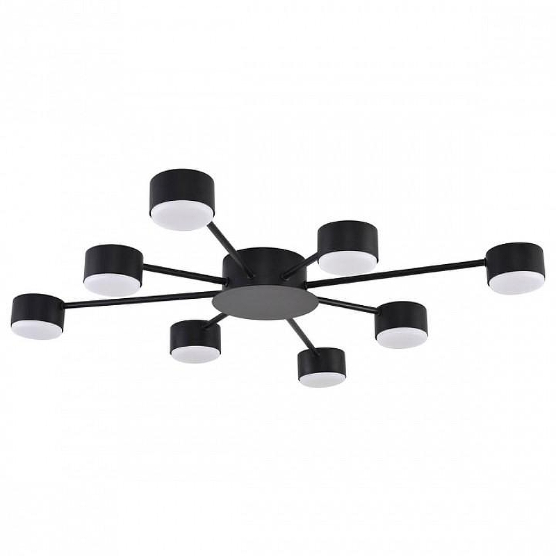 Люстра Lumion TORINA 8344/8C 