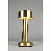 Настольная лампа Aployt Perrayn APL.671.04.01 цвет плафона/подвески Золото, цвет арматуры Золото-3