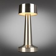 Настольная лампа Aployt Perrayn APL.671.14.01 цвет плафона/подвески Серебро, цвет арматуры Серебро-1