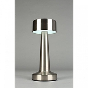 Настольная лампа Aployt Perrayn APL.671.14.01 цвет плафона/подвески Серебро, цвет арматуры Серебро-2