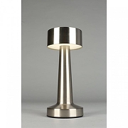 Настольная лампа Aployt Perrayn APL.671.14.01 цвет плафона/подвески Серебро, цвет арматуры Серебро-3