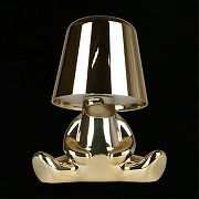 Зверь световой Aployt Ninon APL.673.04.01 цвет плафона/подвески Золото, цвет арматуры Золото-6