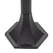 Ландшафтный светильник Citilux FORTS CLU09B цвет плафона/подвески Прозрачный, Хром, цвет арматуры Черный-8