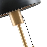 Настольная лампа Moderli Aspen V11322-1T цвет плафона/подвески Черный, Золото, цвет арматуры Латунь-1