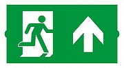 Пиктограмма Arlight EMERGENCY 046669 цвет Зеленый